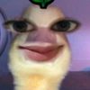 viaamellmell