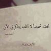 ahmedabdelaleem169