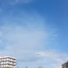 dibi78719_.3