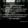 user581395345586