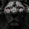 noah81.leprolelou