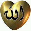 user8654415250142