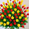uae.uae229