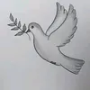kk_an78