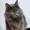 ionela.duta2