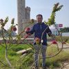 ياسر السقاف بديل