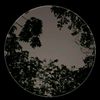 zallo030