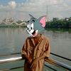 abdullahanser85