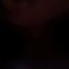 shann_7776