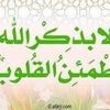 user51835027799301