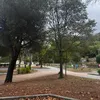 ___nabi____