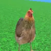 kfcso1traidat
