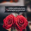 user725964149