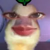 haeilyzxx