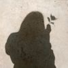 kalizy_nexe