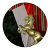 user6256343603279