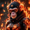 cool.chimps.nft