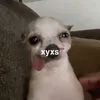 xyxs