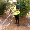 ameyo853