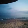 sophh.milkova13