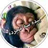 ab.samad.sahil1