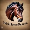 WORLD_HORSE_RESCUE