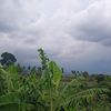 pacalangstore