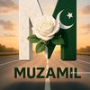 ali.hamza11531