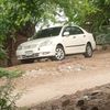 rizwan..56