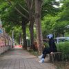 jalan.ajaaaa