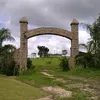 adautogato