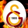 tgb0517