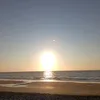 ayliva479