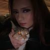 meowtastic.com