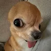 alncnnth