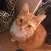 roxiwxii