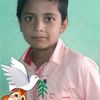 sohel.arman767