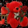 user206223867598
