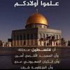 phmonaelshahat