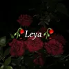 leya3.00