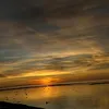 nylygvino_