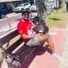 dushan804