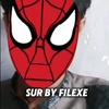 surbyfilexe