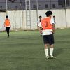 woa_66