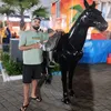 omar.bennani43