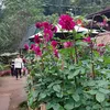 ni.ny.c.anh24