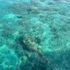 natalia.fiji