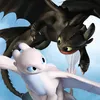 toothless2753