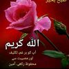 Hazam alp