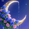rowda.noor